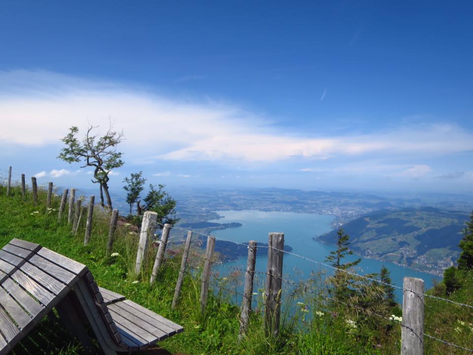 Making Friends on Mount Rigi