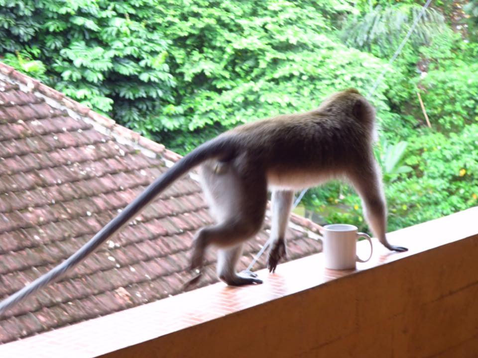 Visitors at the Hotel