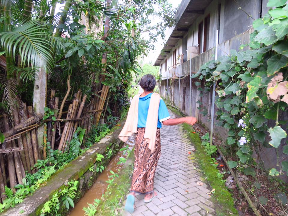 Walking Our Favorite Trail in Ubud, Bali