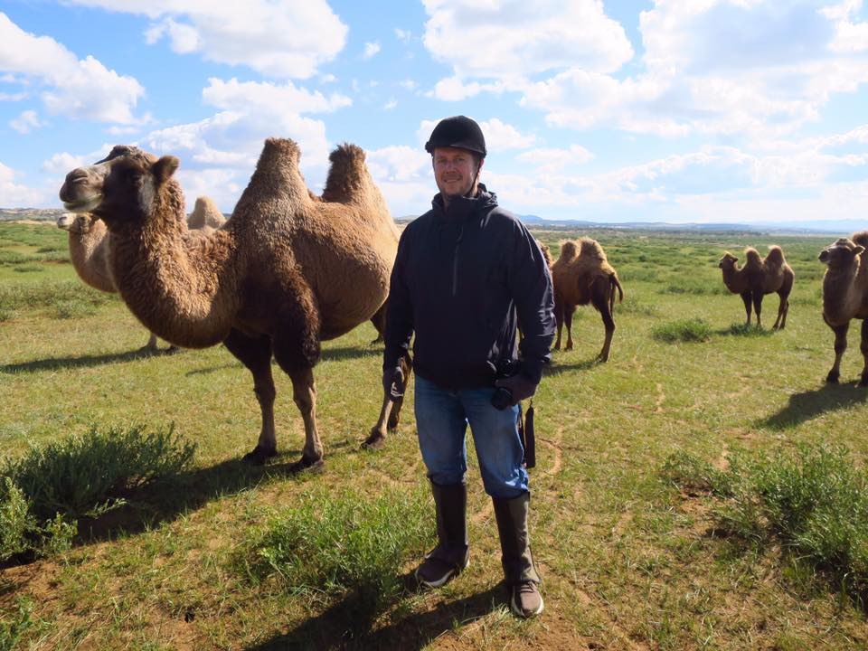 Sweet Camels of the Gobi