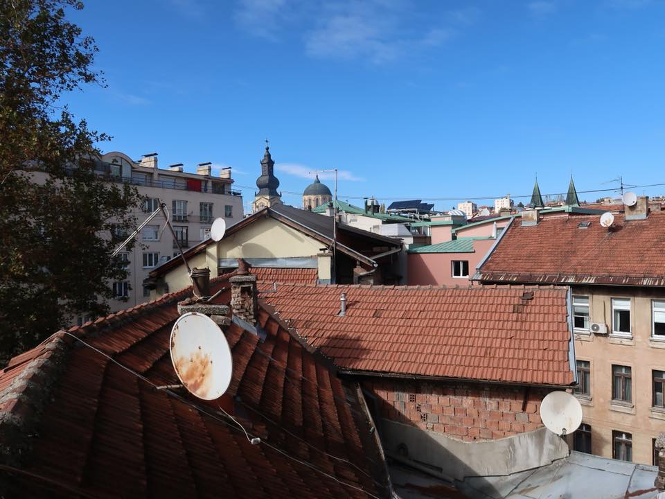 Cat on a Cold Tile Roof