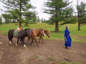 Riding Wild Horses to the Monastery