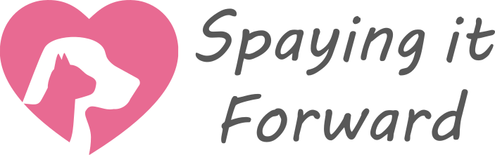 Spaying it Forward